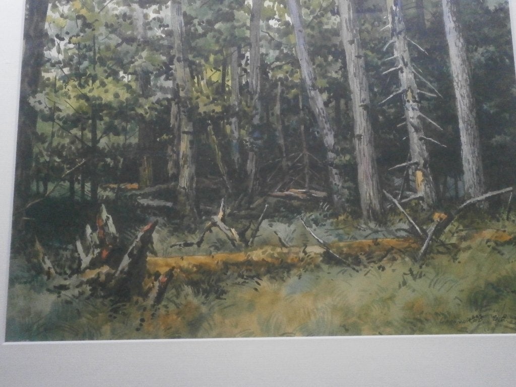 Mooi Bosschilderij met omgevallen boom, Antiek en Kunst, Kunst | Schilderijen | Klassiek, Ophalen, Expressionistisch, Overige onderwerpen