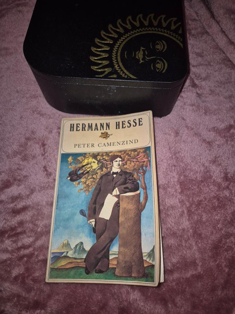 Hermann Hesse - Peter Camenzind (Derde druk 1976), Ophalen of Verzenden, Gelezen, Hermann Hesse, Europa overig