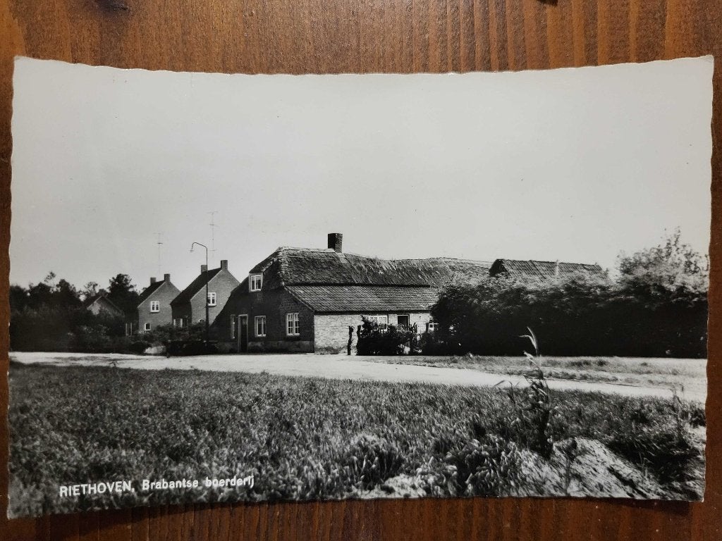 ansicht RIETHOVEN Boerderij, Verzenden, Voor 1920, Noord-Brabant