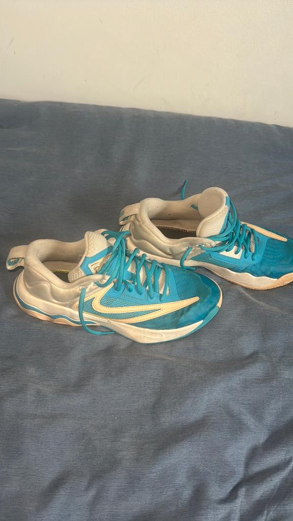 Giannis antetokumpo shoes, Ophalen, Zo goed als nieuw, Schoenen