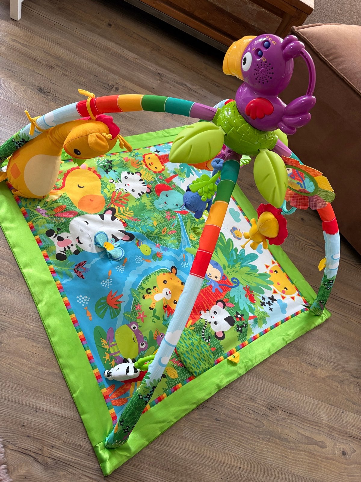 Fisher-Price Baby Gym met Licht en Geluid, Ophalen, Zo goed als nieuw, Overige typen, Met licht