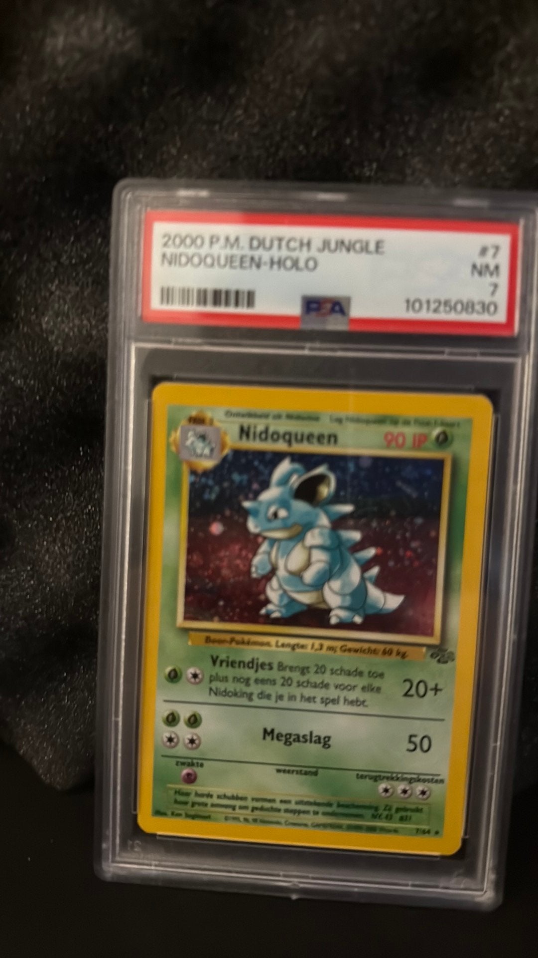 Psa 7 holo Nidoqueen nederlands NL pokemon jungle, Hobby en Vrije tijd, Verzamelkaartspellen | Pokémon, Ophalen of Verzenden, Zo goed als nieuw