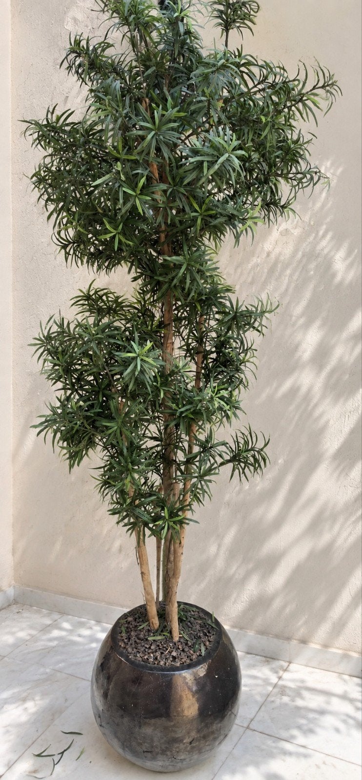 Grote kunstplant 2.20m met pot, Huis en Inrichting, Woonaccessoires | Kunstplanten en Kunstbloemen, Ophalen, Onderhoudsvrij, Kunstplant