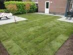 Graszoden leggen/gazonrenovatie, Ophalen, Grietmanswijk, 20 m² of meer, Smilde