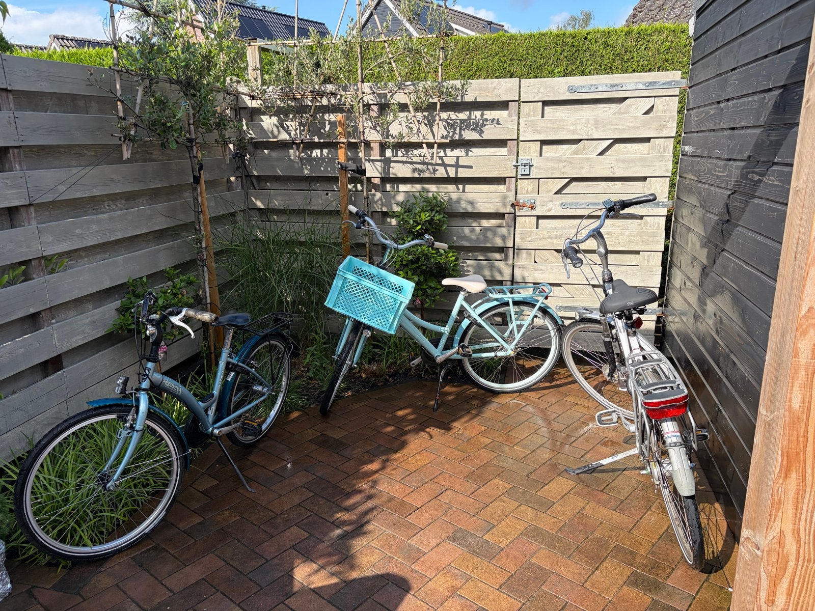 Batavus en Gazelle fietsen - diverse maten en modellen, Fietsen en Brommers, Ophalen, Terugtraprem, Gebruikt, Versnellingen
