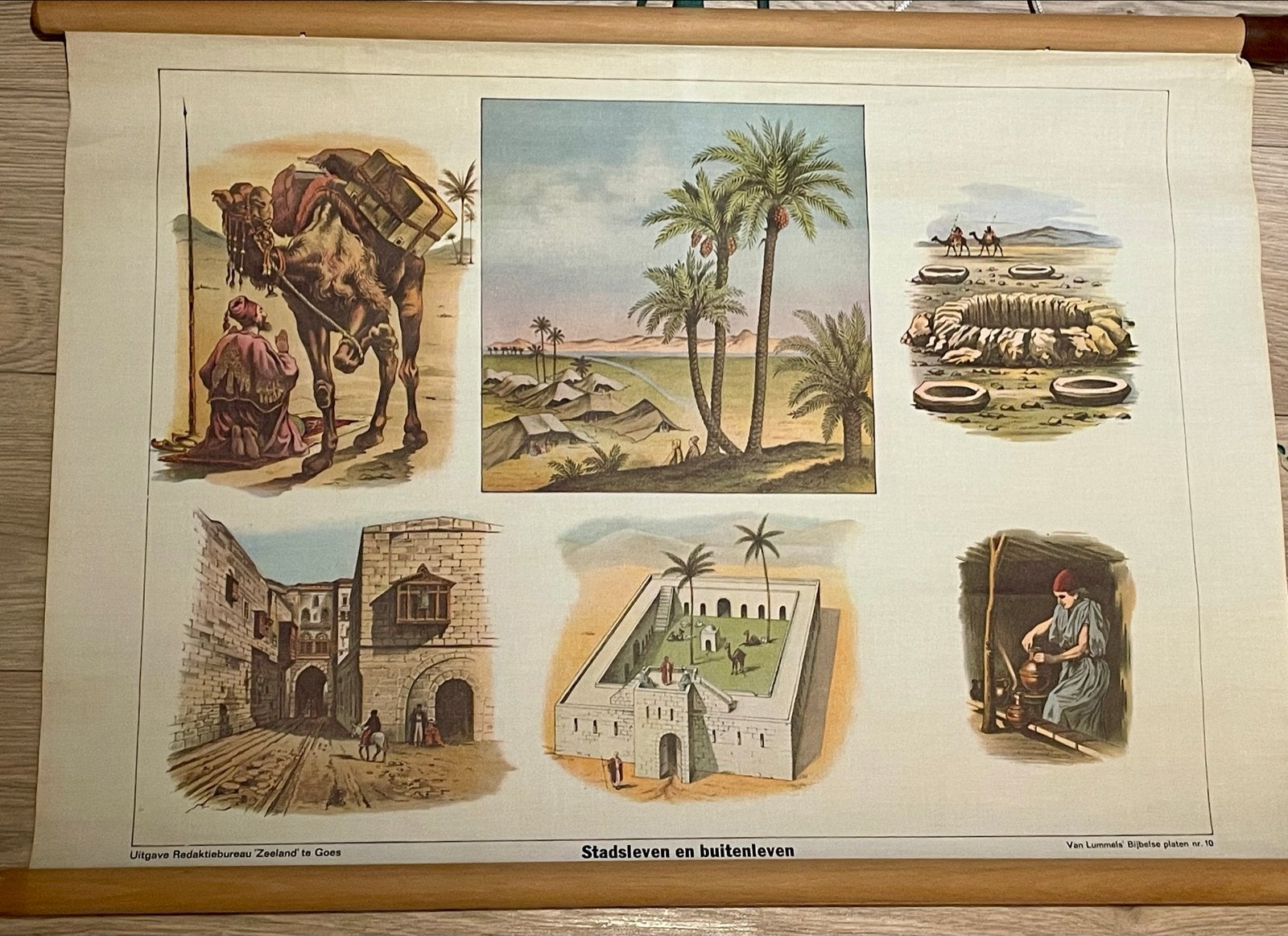 Vintage schoolplaat "Stadsleven en buitenleven" 50x70 cm, Ophalen of Verzenden, Overige thema's