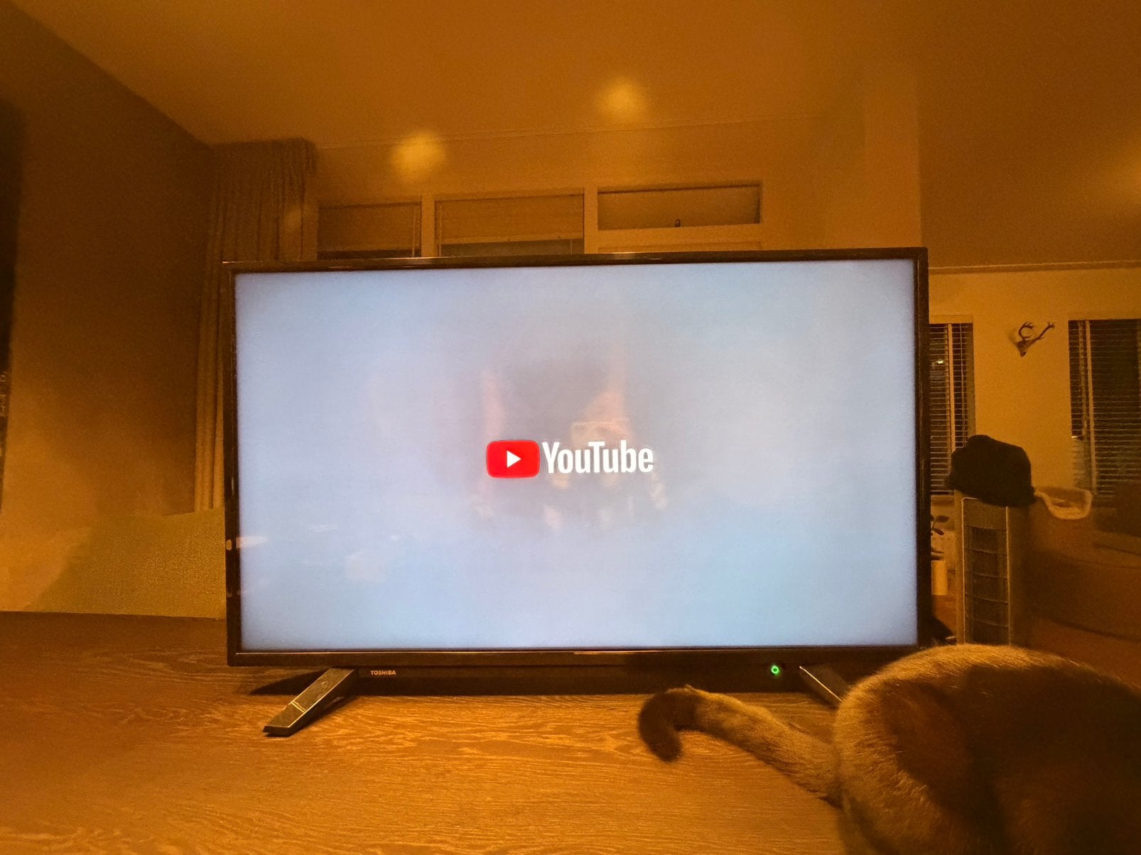 Toshiba 43U2063DG, Ophalen, Toshiba, 50 Hz, Zo goed als nieuw
