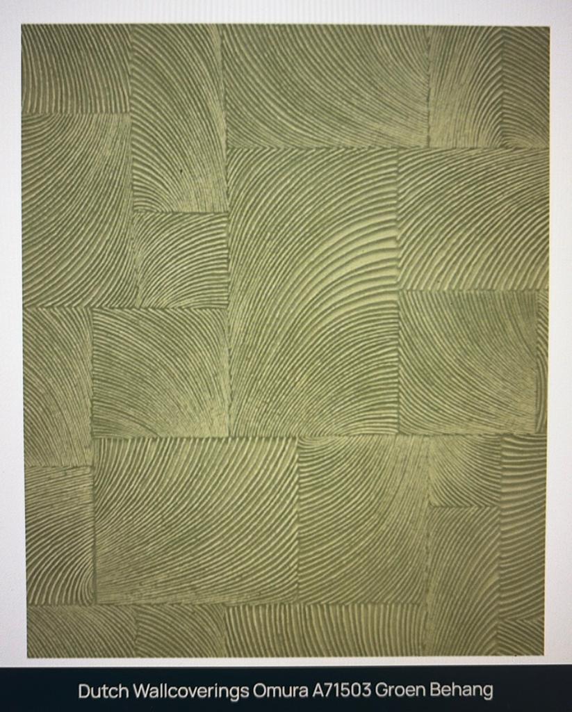 6 nieuwe rollen vliesbehang dutch wallcovering omura a71503, Ophalen of Verzenden, Groen