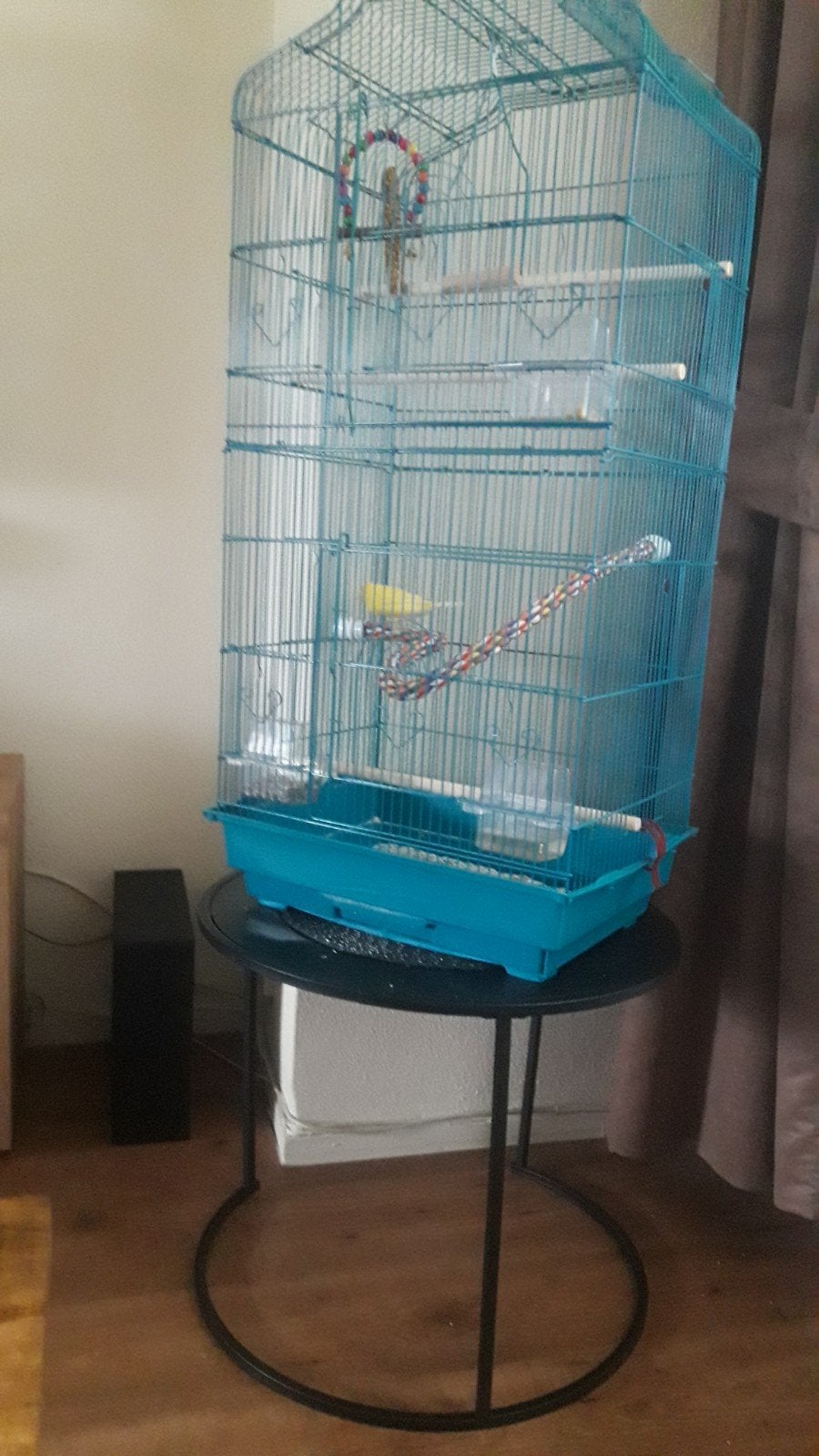 kanarie man, Ophalen, Zo goed als nieuw, Metaal, Vogelkooi