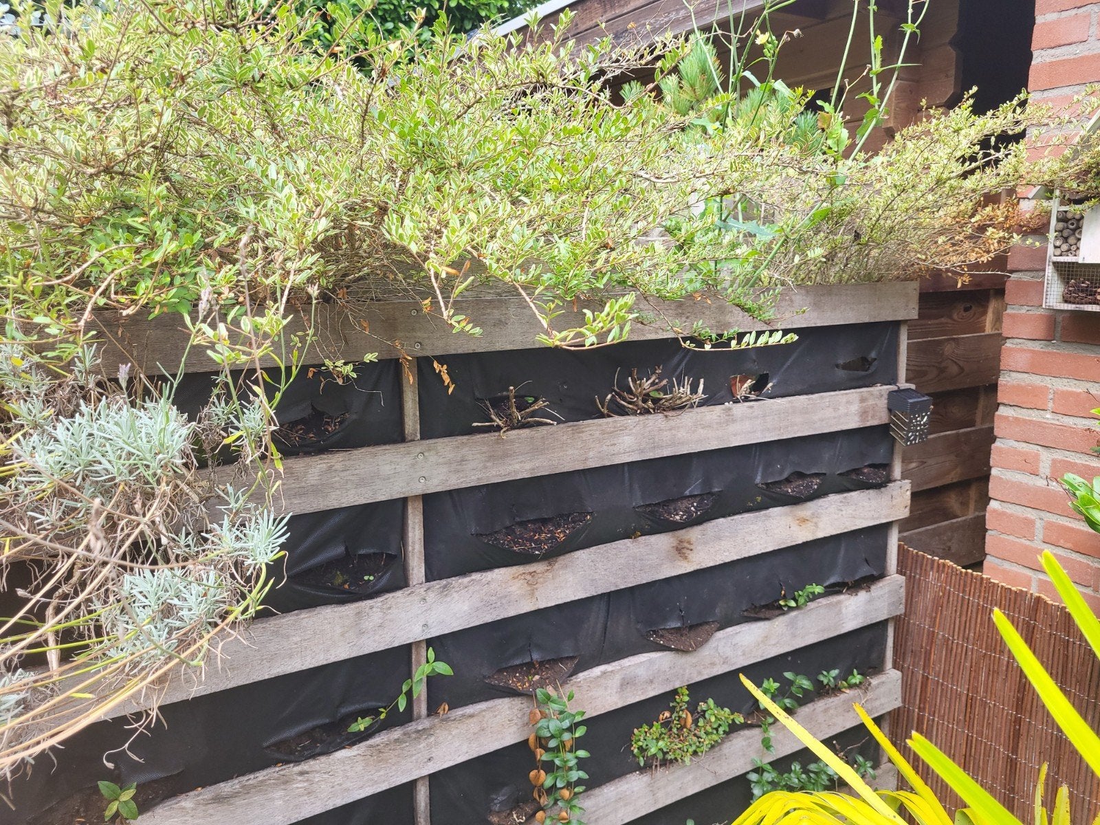 Verticaale tuin met watersysteem voor planten -, Ophalen, Gebruikt, 100 cm of meer, Balkon