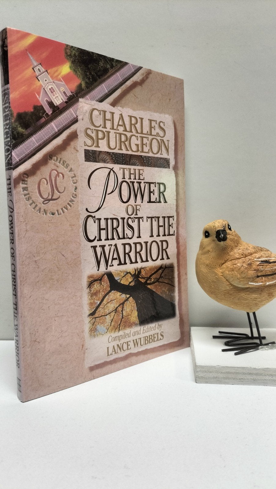 Spurgeon, C.H.; The power of Christ the Warrior, Boeken, Ophalen of Verzenden, Gelezen, Christendom | Protestants