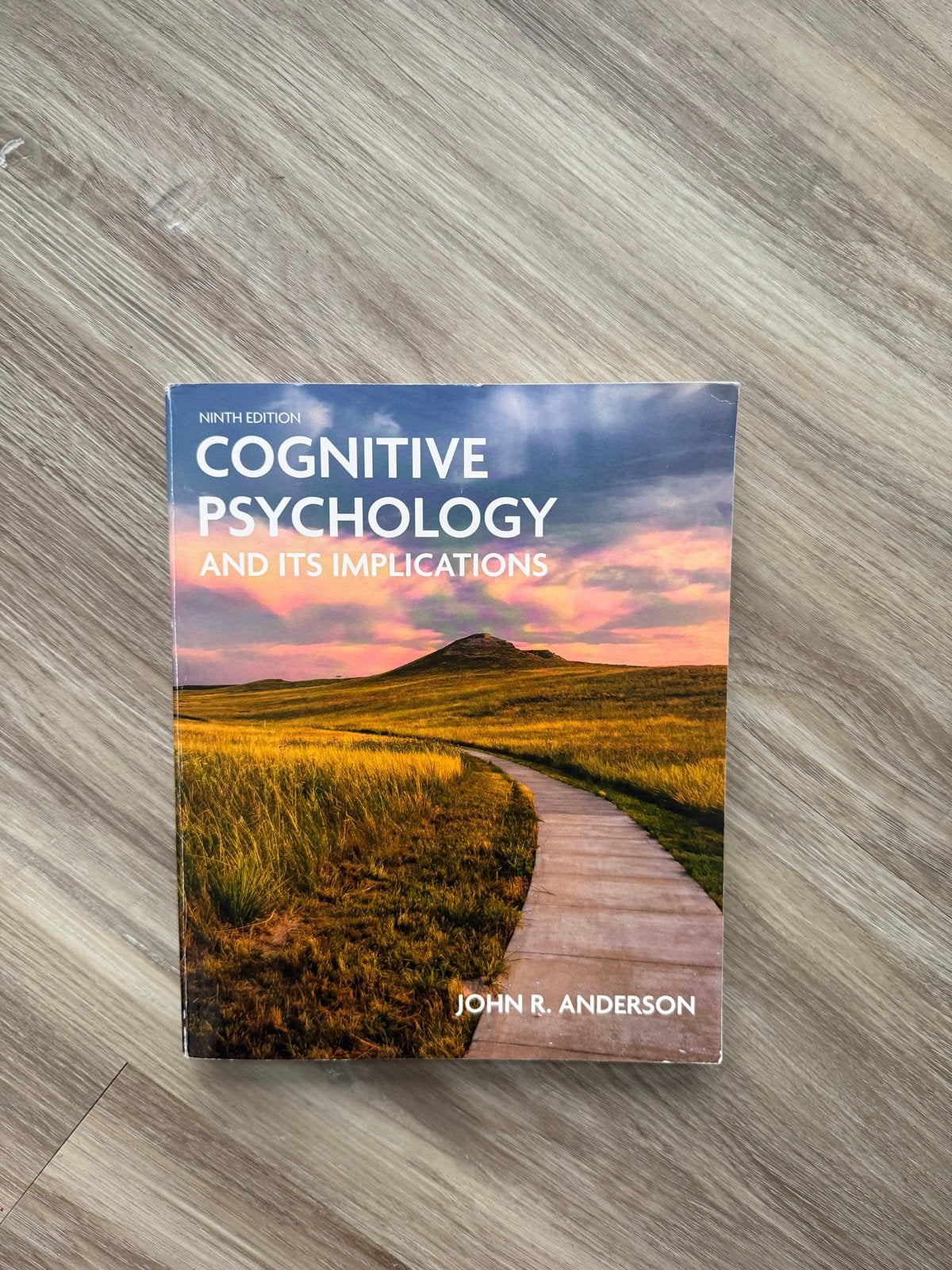 Cognitive Psychology and Its Implications - John R. Anderson, Ophalen of Verzenden, Gamma, Gelezen, WO