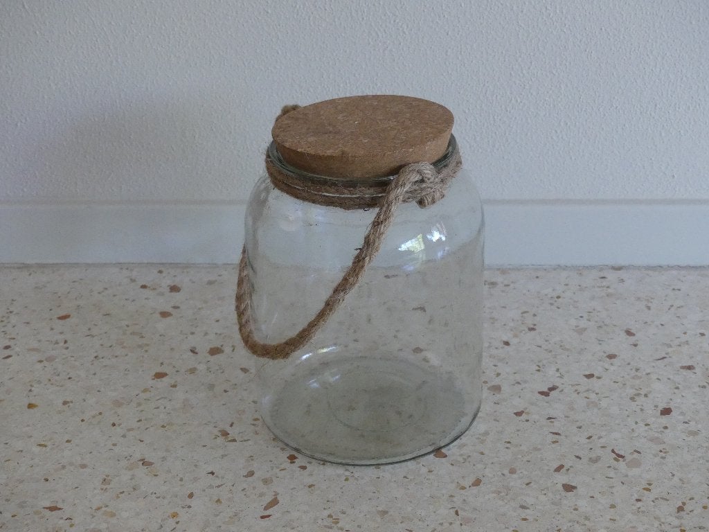 Planten terrarium voor maken van mini-ecosysteem, Huis en Inrichting, 15 cm, Nieuw, Ophalen of Verzenden, Met deksel