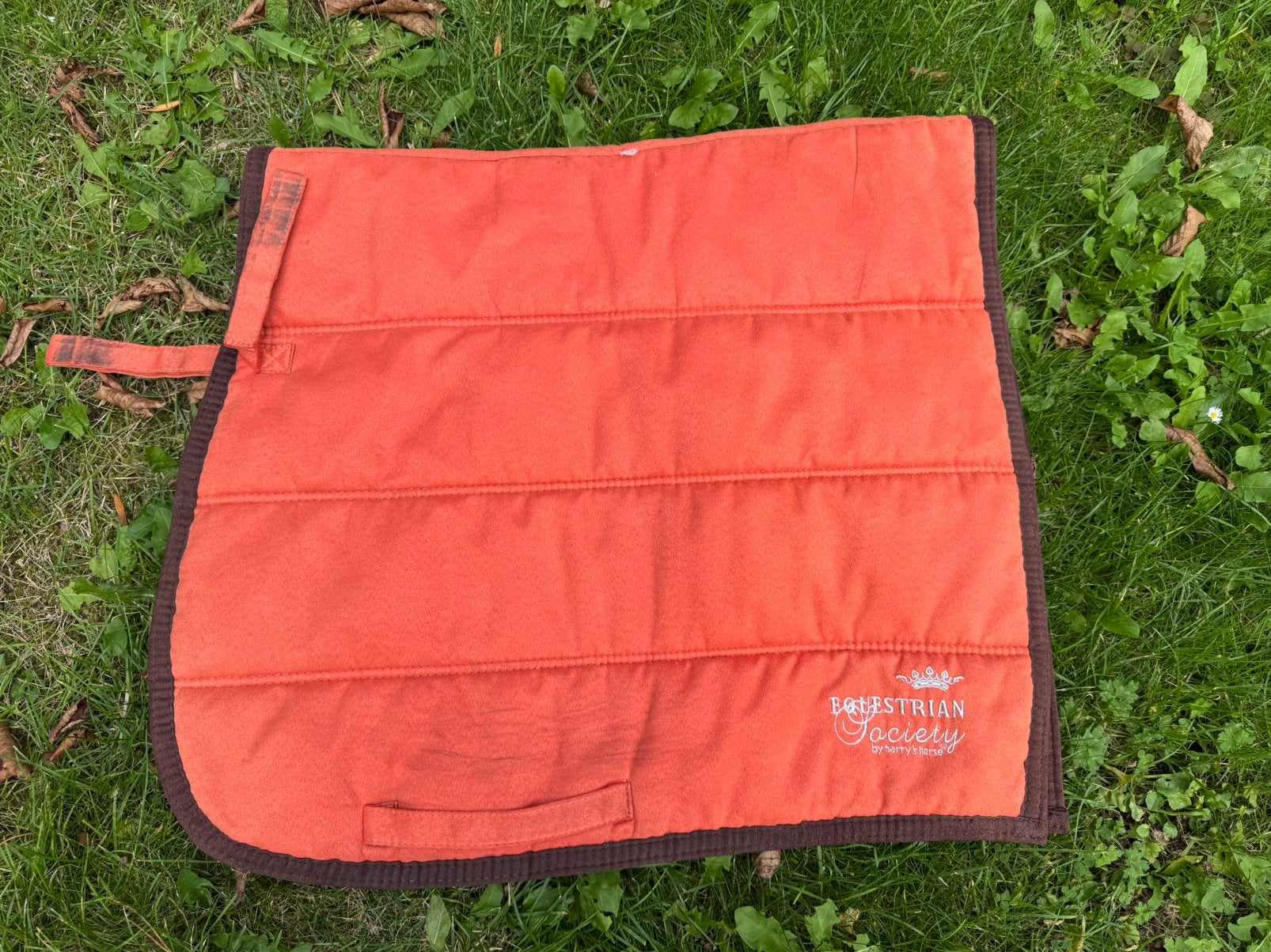 Harry’s horse full dressuur, Dieren en Toebehoren, Ophalen of Verzenden, Gebruikt