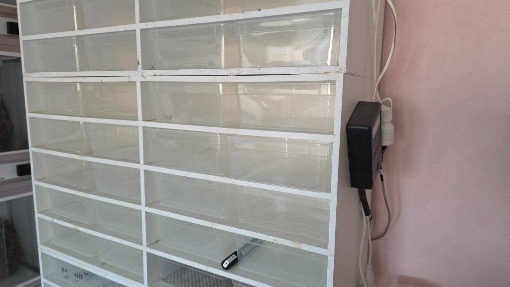 Braplast rack L incl thermostaat 3 beschikbaar, Dieren en Toebehoren, Reptielen en Amfibieën | Toebehoren, Ophalen, Gebruikt, Terrarium of Paludarium