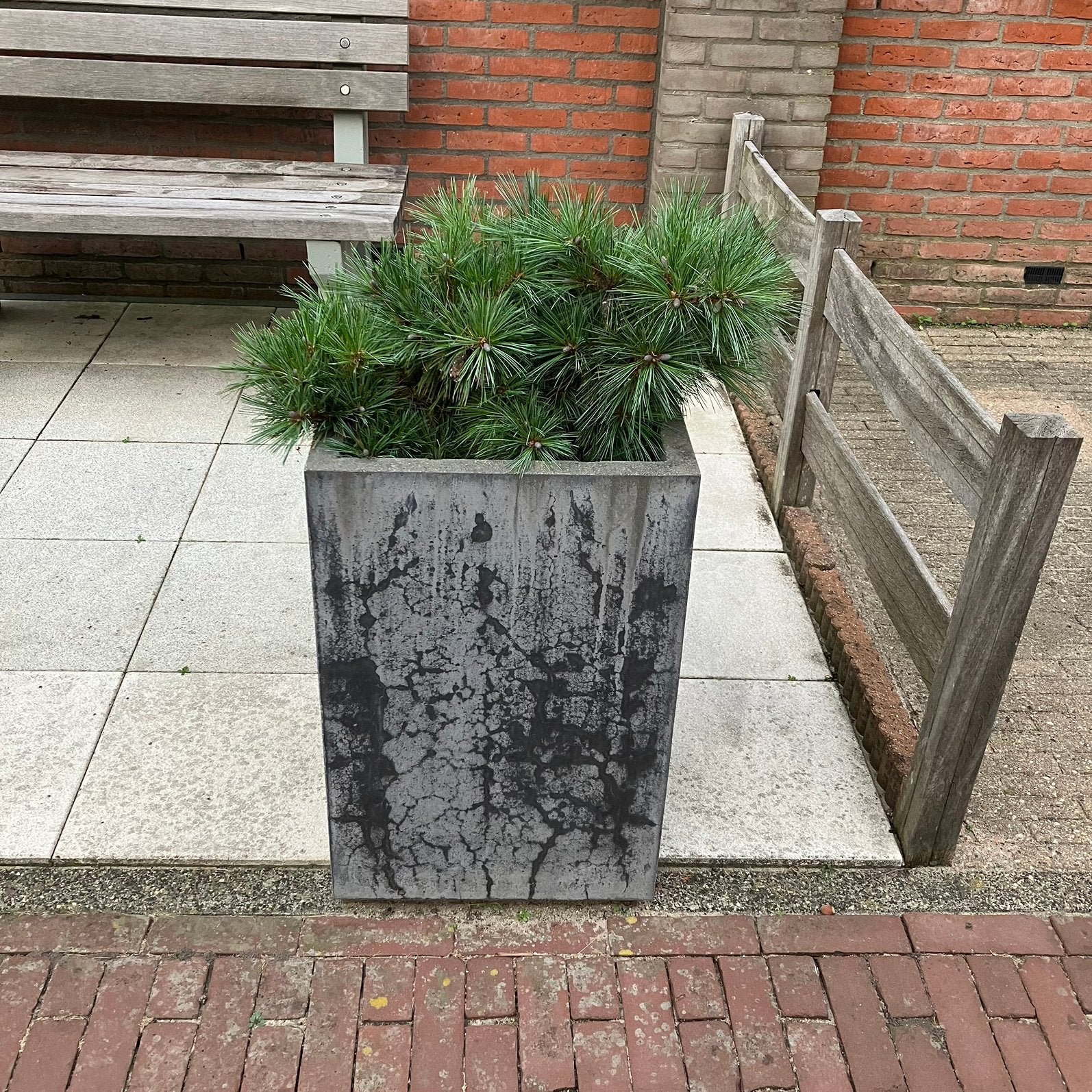 Betonnen plantenbak, Tuin en Terras, Ophalen, Gebruikt, Vierkant, Beton