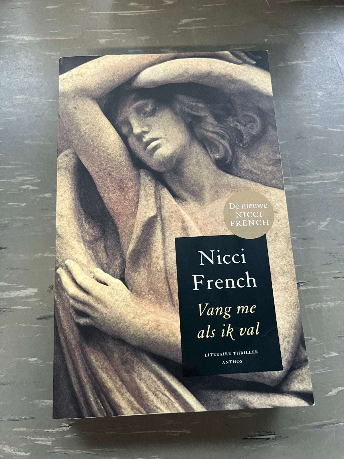 Nicci French - Vang me als ik val (Literaire thriller), Ophalen of Verzenden, Zo goed als nieuw, Europa overig