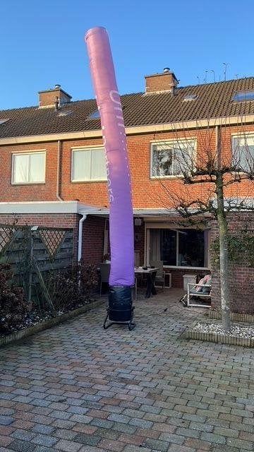 air tube, Dieren en Toebehoren, Mannelijk, Postduif