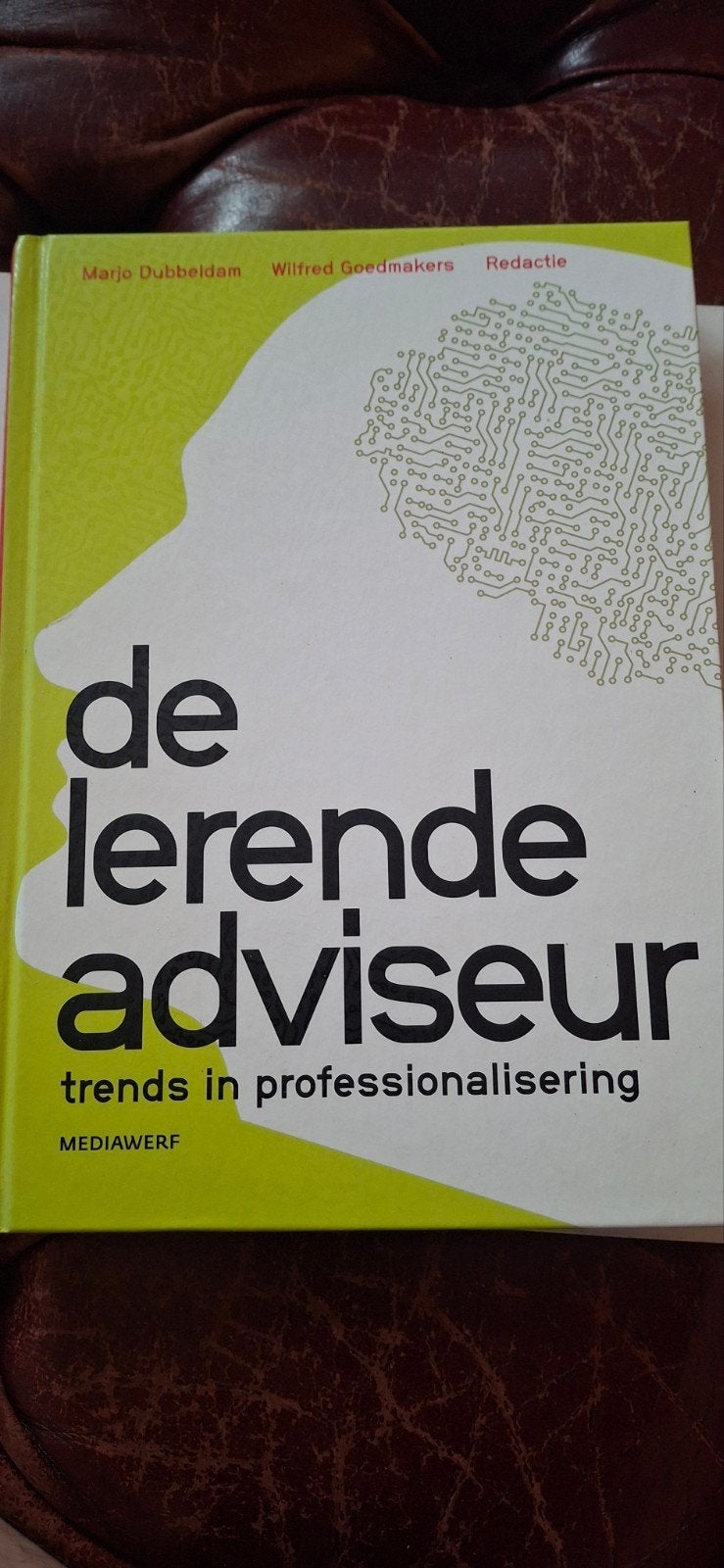 De Lerende Adviseur: Trends in Professionalisering, Boeken, Zo goed als nieuw, Gamma, Marjo Dubbeldam, Wilfried Goedmakers, HBO