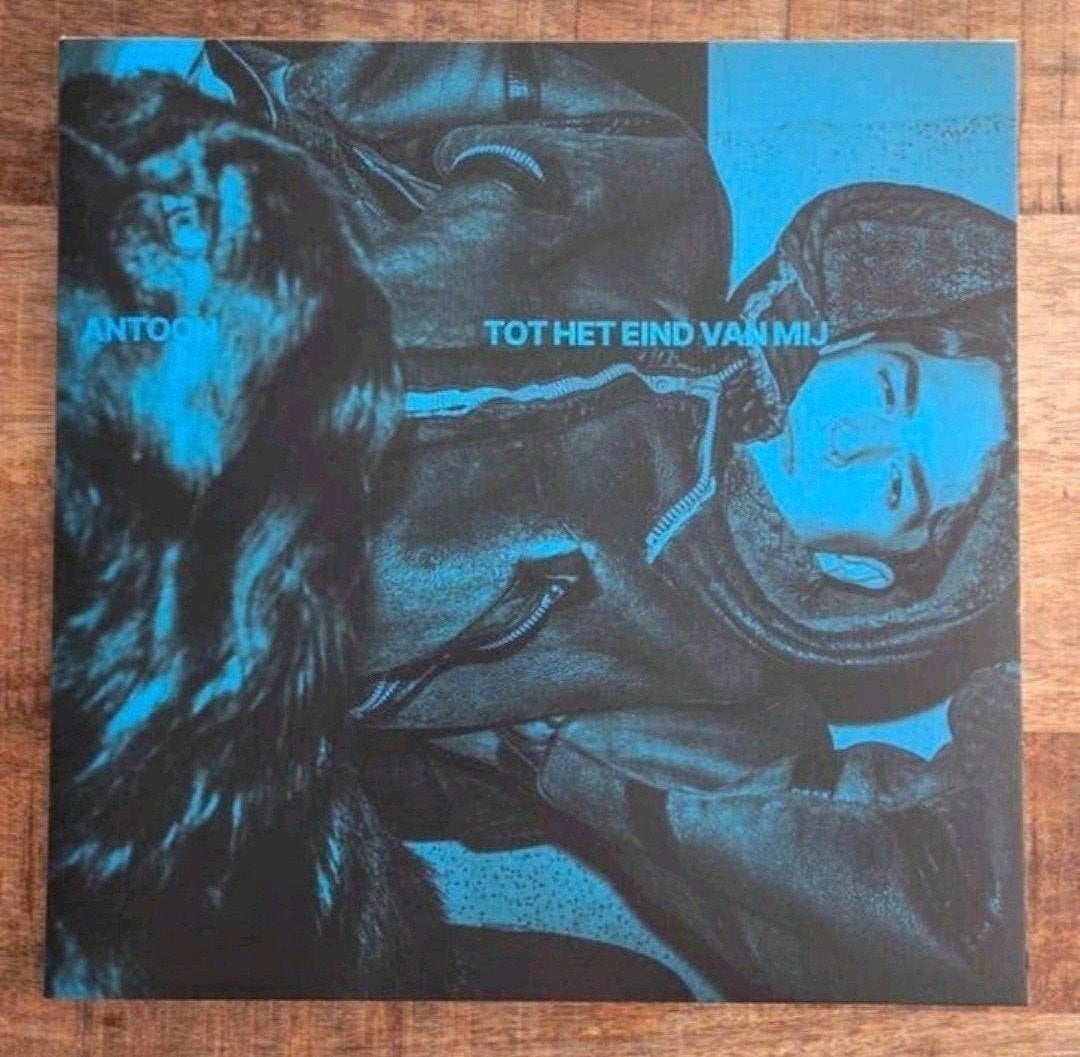 Lp Antoon tot het eind van mij, Ophalen of Verzenden, Zo goed als nieuw, 12 inch