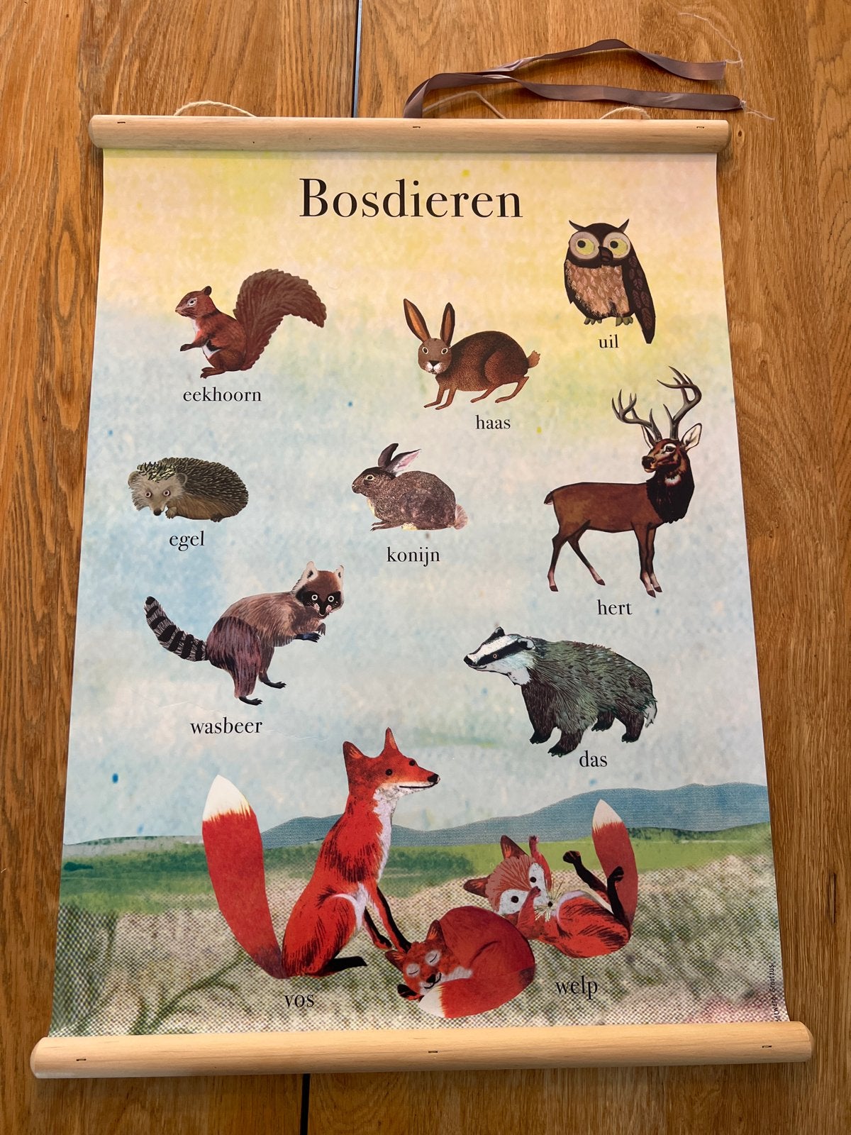 Vintage schoolplaat Bosdieren - dubbelzijdig - 50x70 cm, Ophalen of Verzenden, Zo goed als nieuw, Wanddecoratie