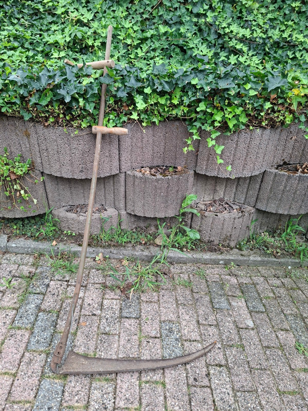 Antieke zeis met houten handvatten, Ophalen, Gebruikt, Overige typen