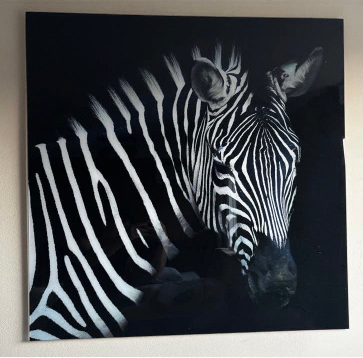 Glazen schilderij zebra 60x60 cm, Realistisch, Overige ondergronden, Dieren, Print