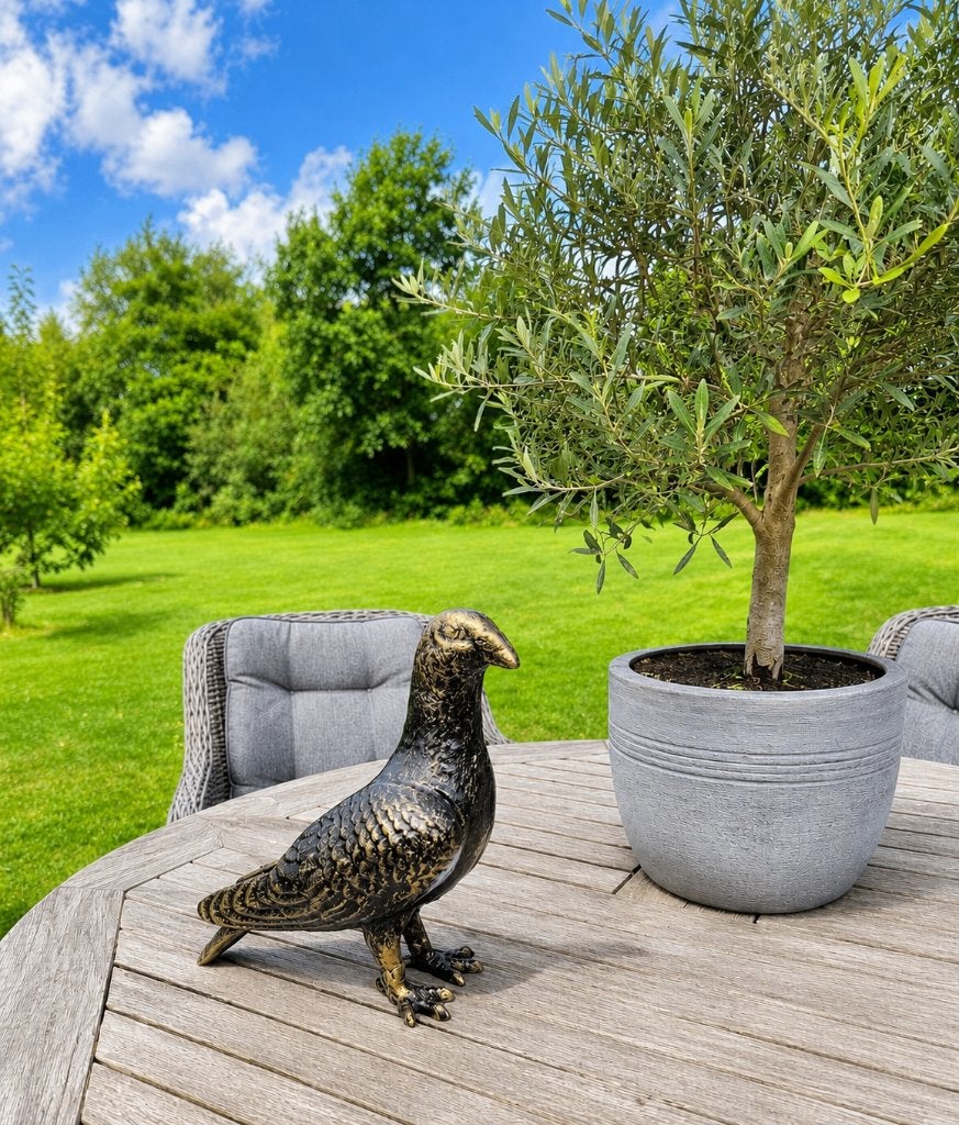 DUIF / GIETIJZER / VOGEL