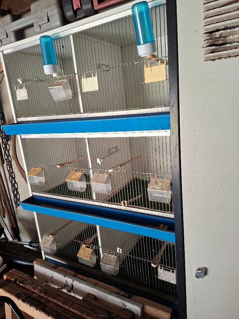 Broedhokken, Dieren en Toebehoren, Ophalen, Gebruikt, Hout, Vogelkooi
