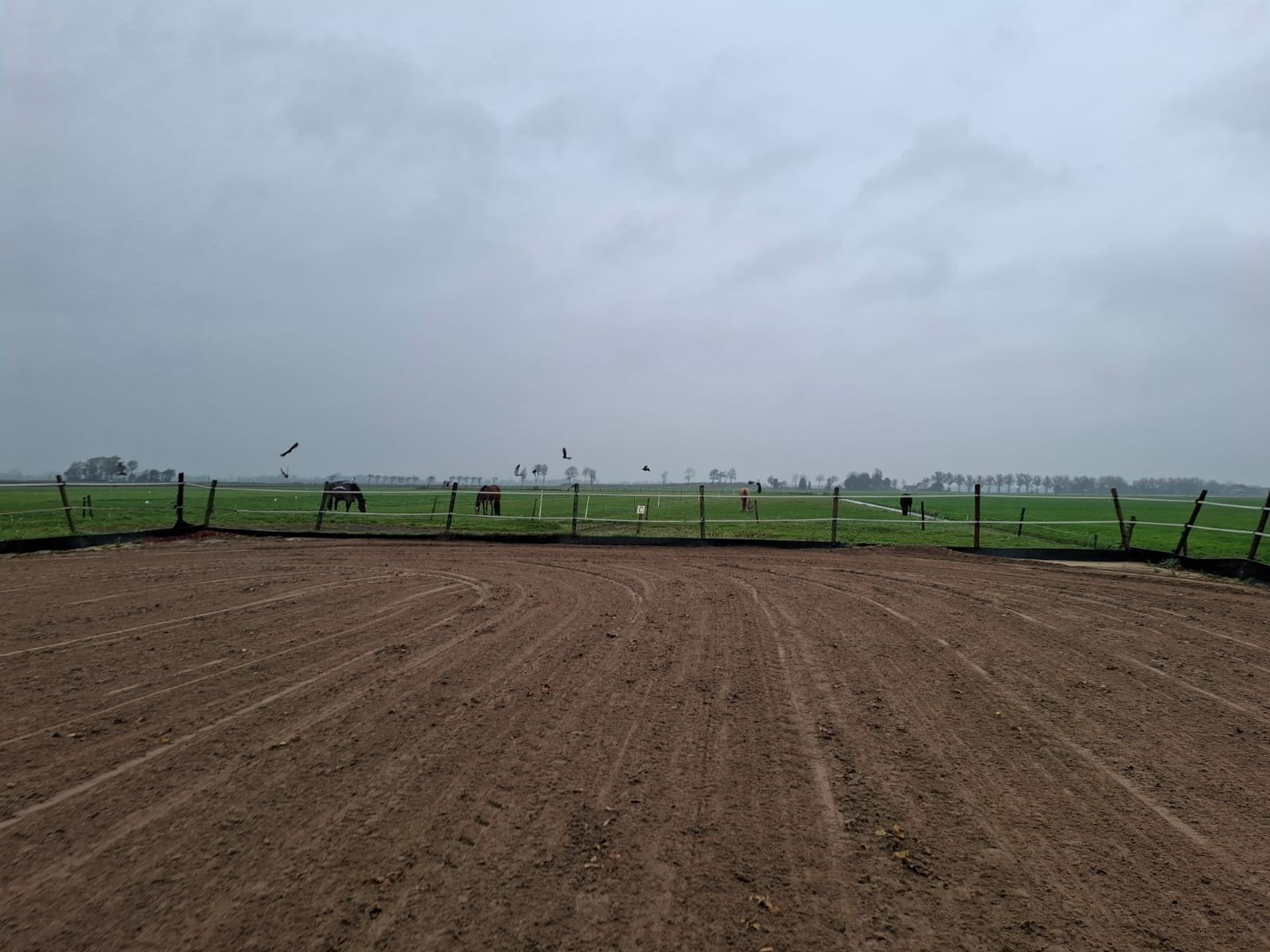 Foto 4 van Stalling aangeboden Spanbroek