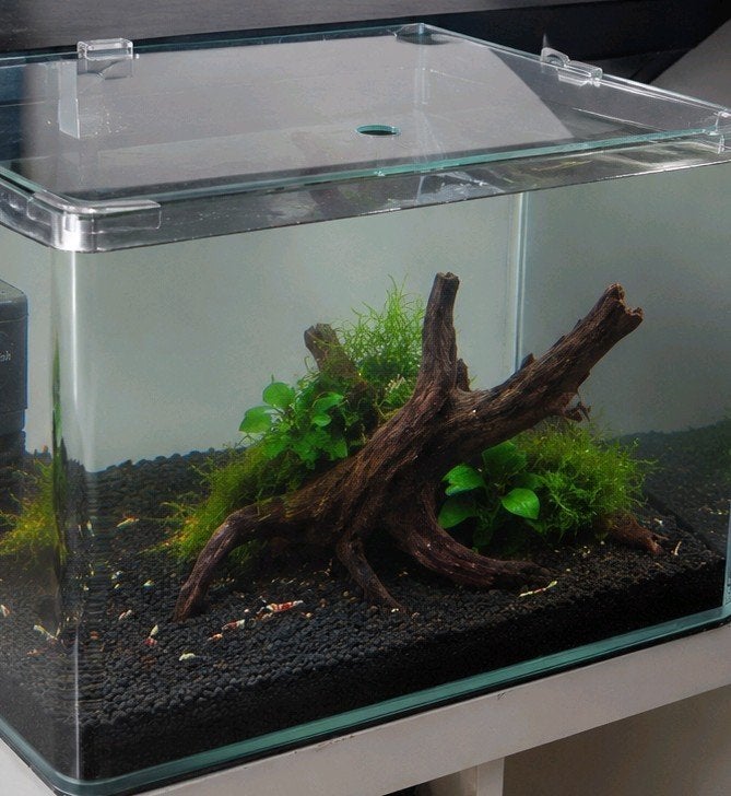 Nano aquarium, Ophalen of Verzenden, Zo goed als nieuw, Leeg aquarium