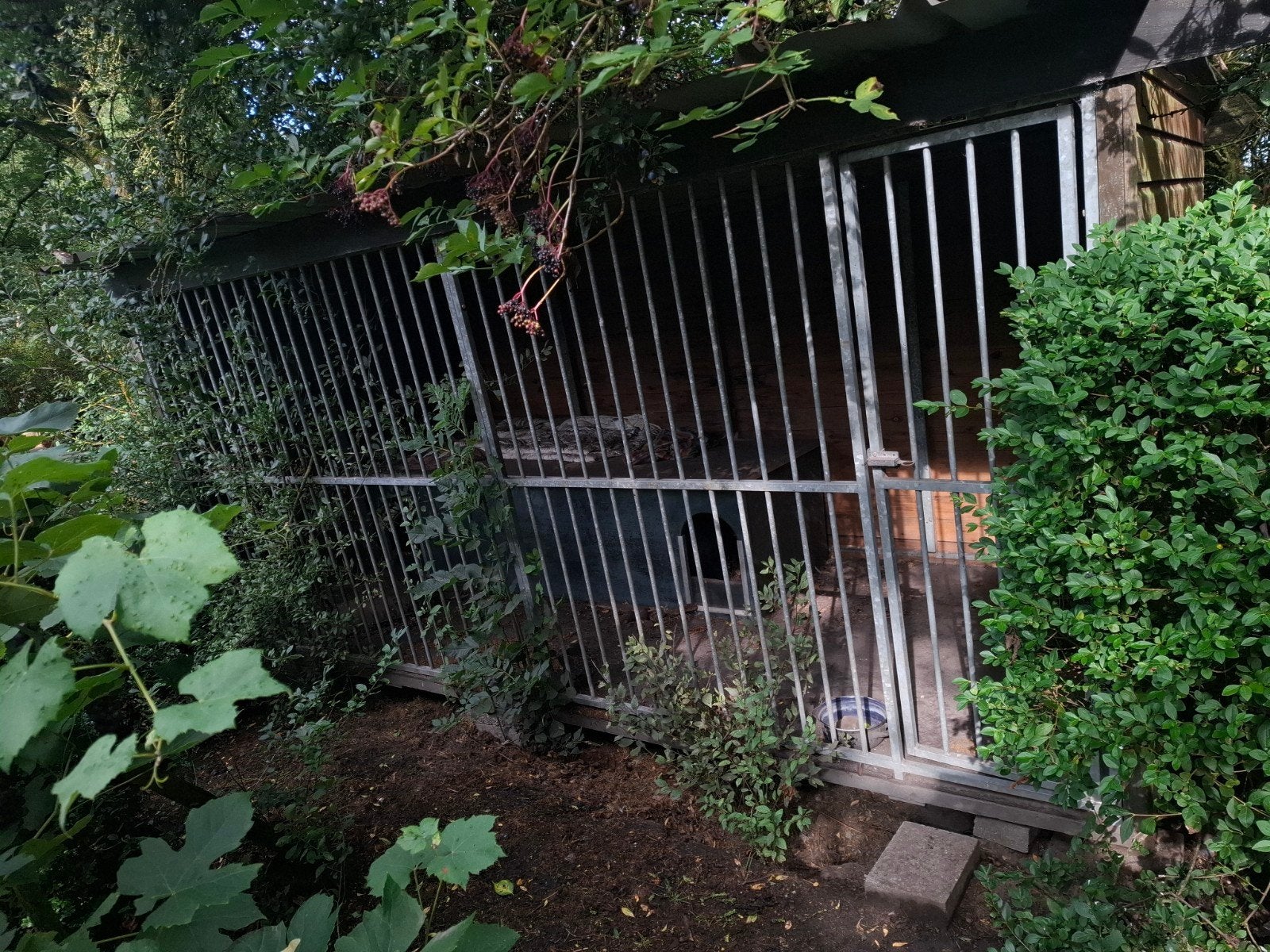 honden kennel, Dieren en Toebehoren, Ophalen