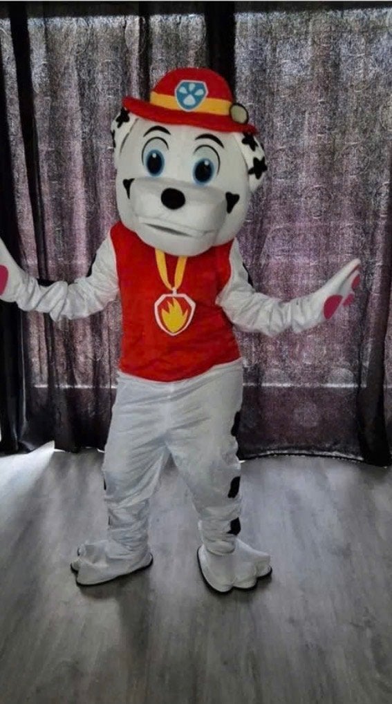 Paw patrol mascotte, Ophalen of Verzenden, Zo goed als nieuw, Verjaardag