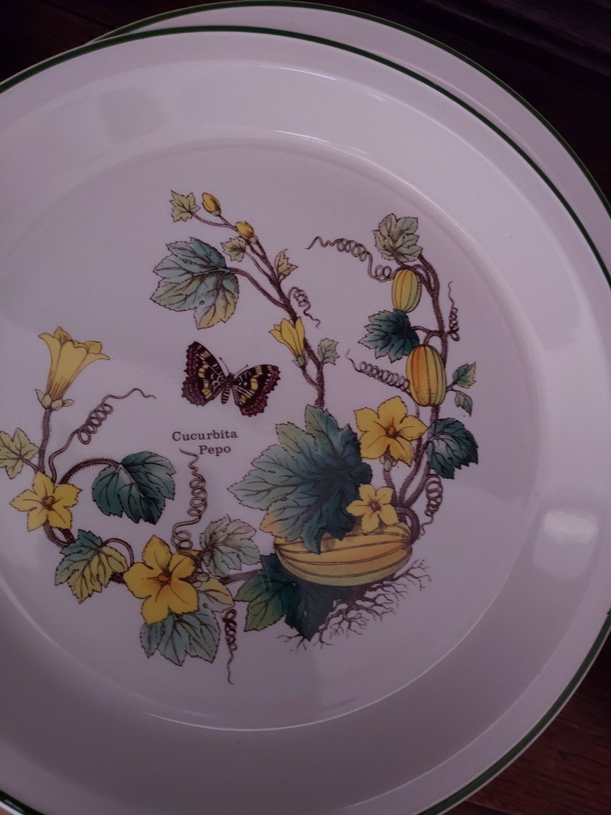 wedgwood florabunda dinerborden, Ophalen of Verzenden, Zo goed als nieuw, Keramiek, Bord(en)