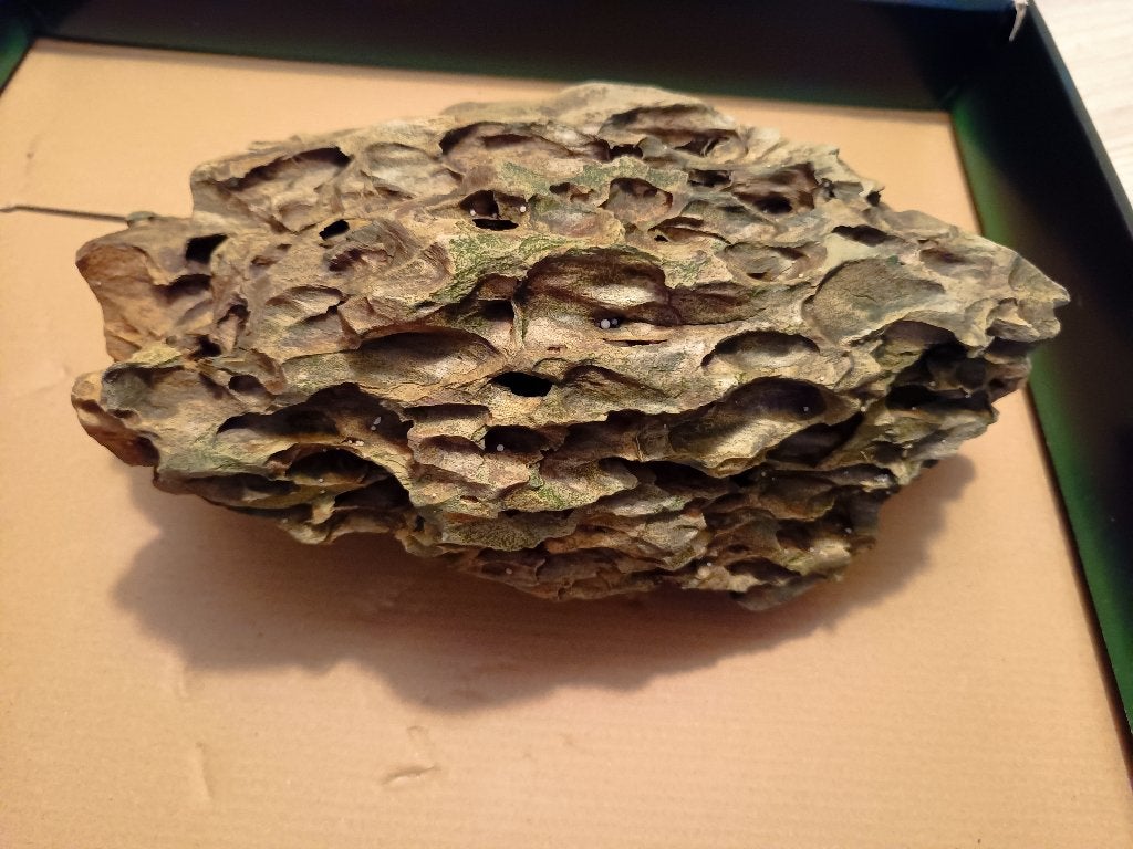 Sera Rock Dragon Stone, Dieren en Toebehoren, Ophalen, Nieuw, Plant(en), Steen of Hout