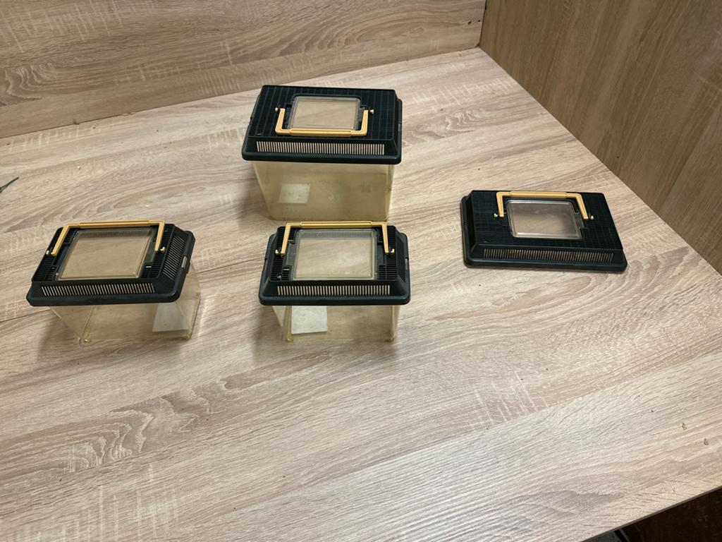 Bakjes met Deksel voor insecten of geleedpotigen, Ophalen of Verzenden, Zo goed als nieuw, Netvoeding, Minder dan 50 watt