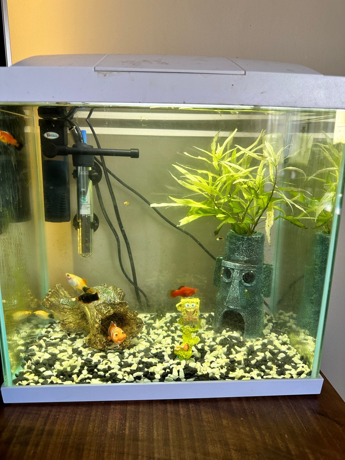 Complete SuperFish 30 aquarium set inclusief vissen en toeb., Dieren en Toebehoren, Ophalen, Zo goed als nieuw, Leeg aquarium