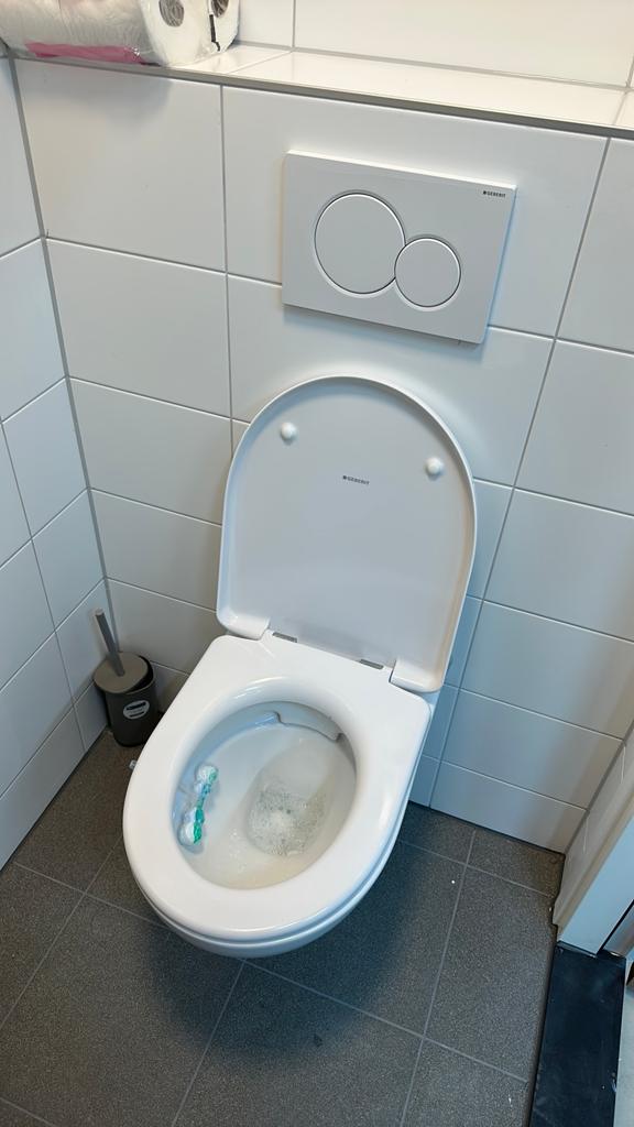 WC-pot en wc-bril (GEEN drukknop), Doe-het-zelf en Verbouw, Sanitair, Ophalen, Nieuw, Toilet