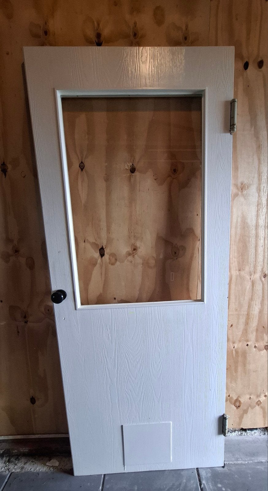 binnendeur met glas en veerscharnier (81 x 196/ 197), Ophalen, Gebruikt, 80 tot 100 cm, Binnendeur