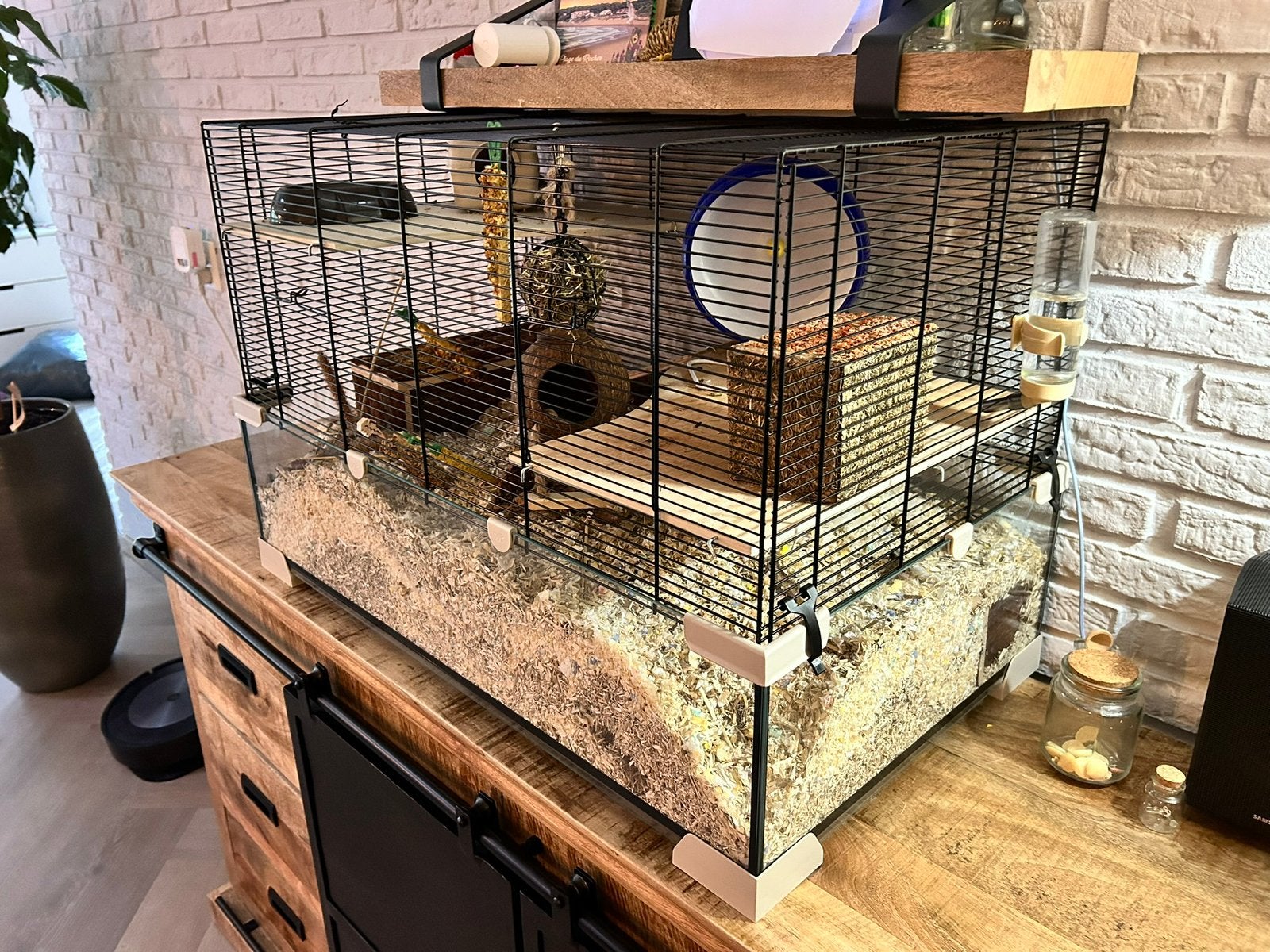 Drie lieve muizen met kooi en toebehoren!, Muis, Vrouwelijk, Tam, Oktober
