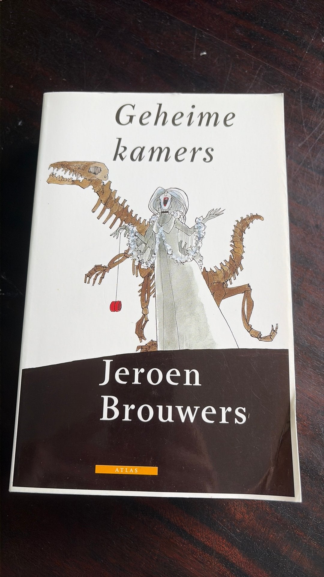 Geheime Kamers - Jeroen Brouwers, Gelezen, Jeroen Brouwers, Ophalen of Verzenden, Nederland