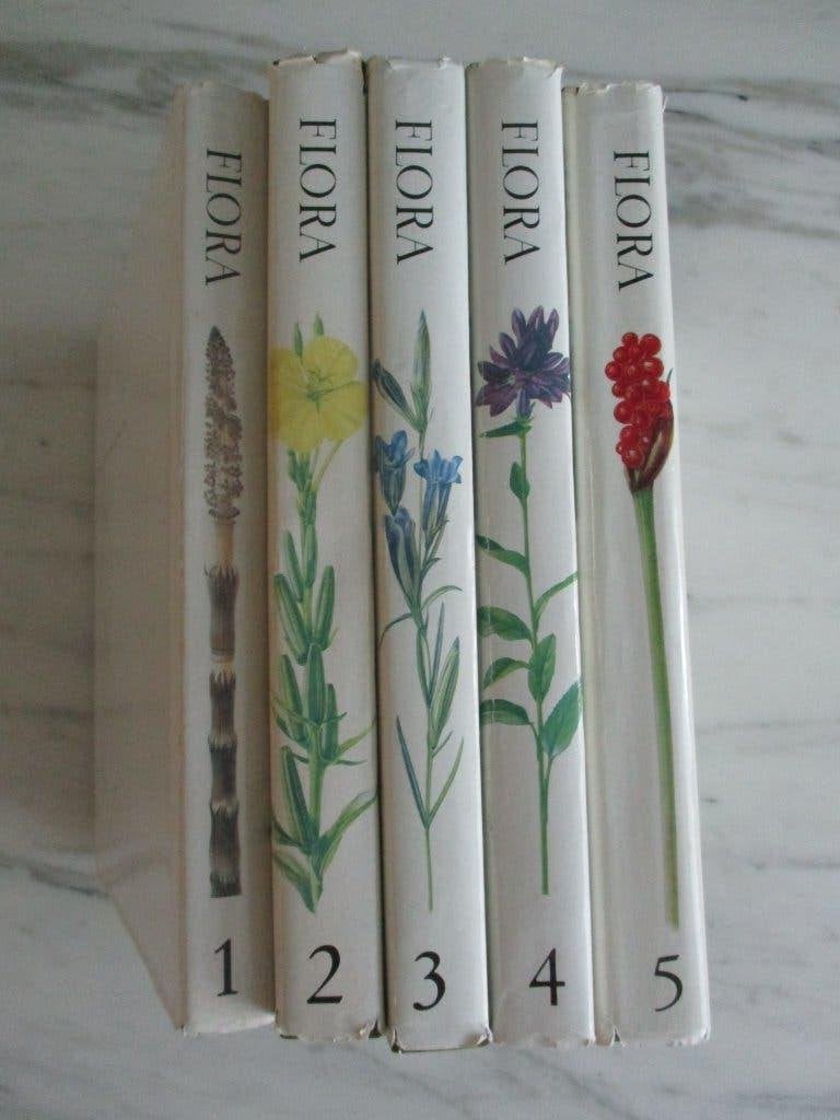 Nederlandse oecologische flora Wilde planten en hun relaties, Boeken, Gelezen, Bloemen, Planten en Bomen, E.J. Weeda, Ophalen of Verzenden