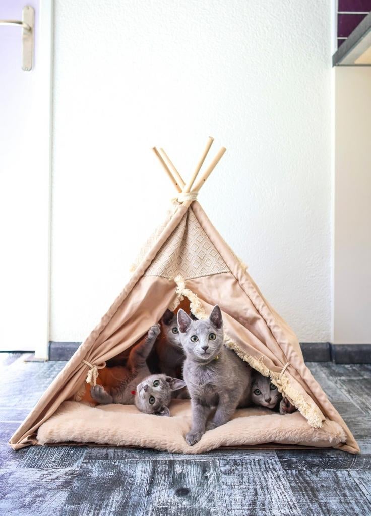 Trixie kattenmand / tipi, Ophalen of Verzenden, Zo goed als nieuw