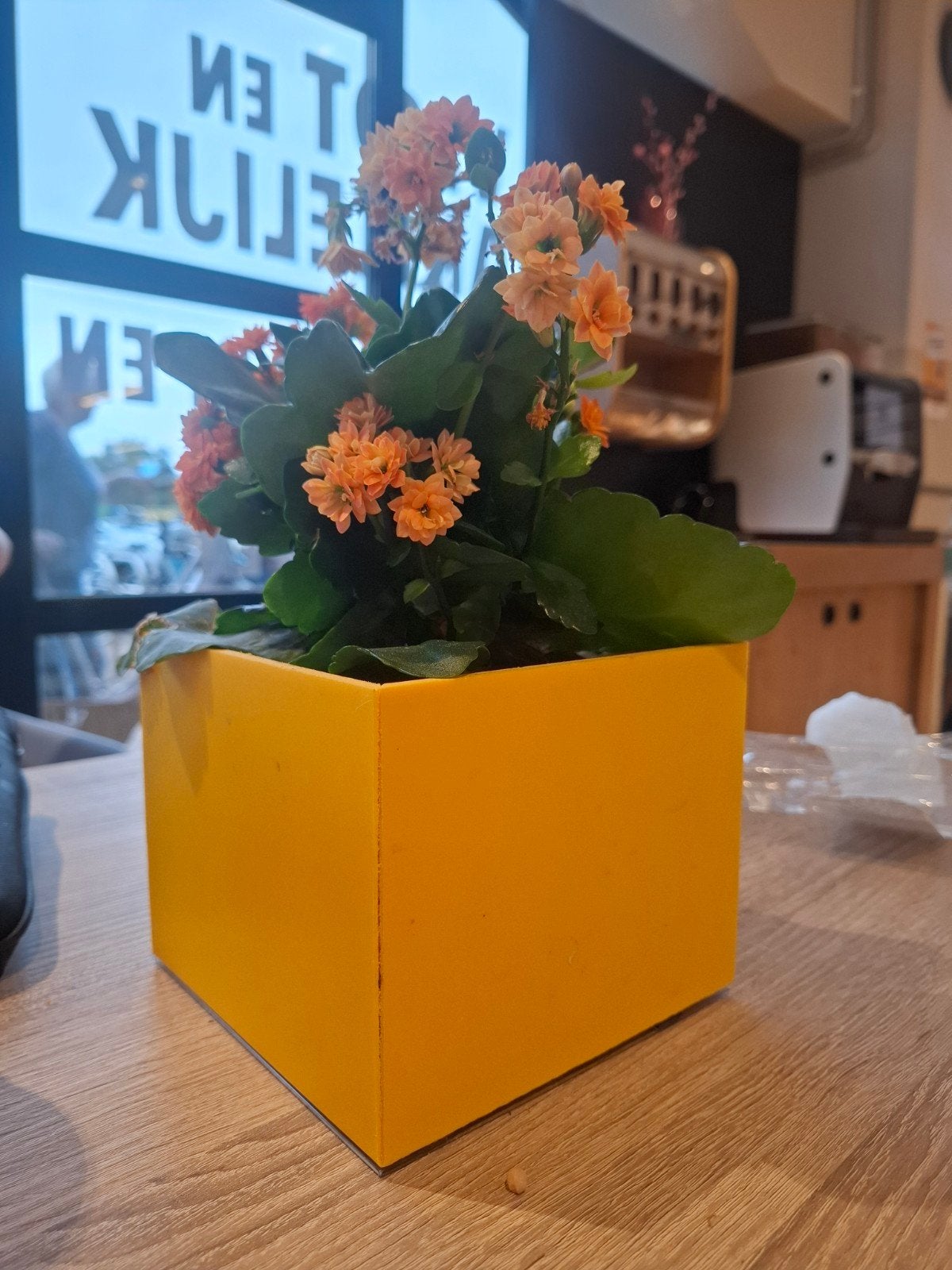 Jumbo plant, Tuin en Terras, Bloempotten, Kunststof, Vierkant, Ophalen of Verzenden, Zo goed als nieuw