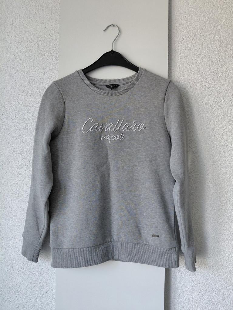 CAVALLARO sweater S, Cavallaro, Ophalen of Verzenden, Zo goed als nieuw, Maat 36 (S)