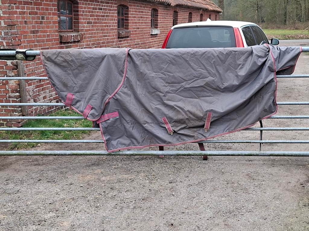 Bucas freedom maat 6.3, Dieren en Toebehoren, Ophalen