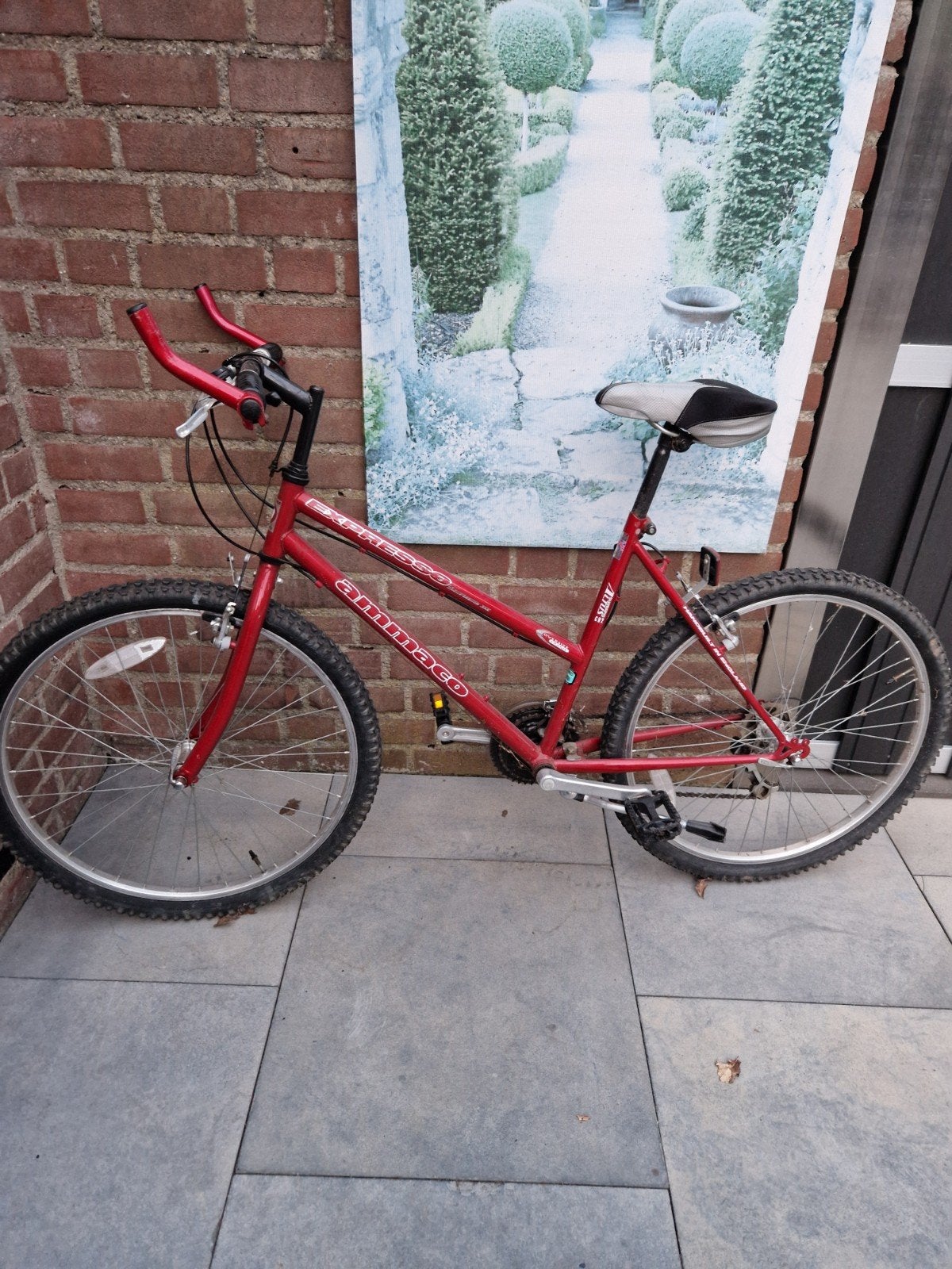 Rode Ammaco Mountainbike - Gebruikt, Gebruikt, Geen vering, 53 tot 57 cm, Ophalen