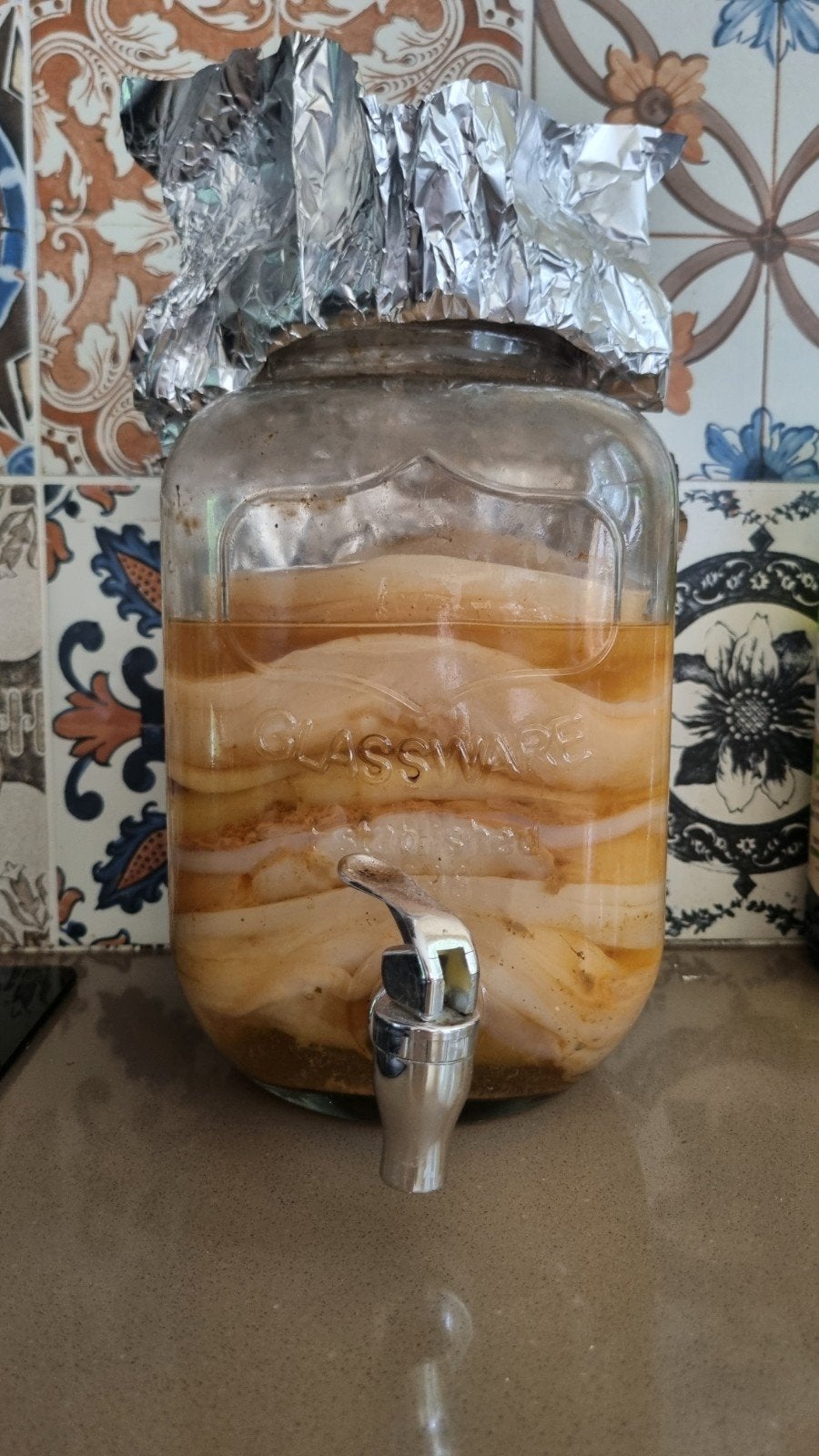 Krachtige kombucha scoby!, Ophalen