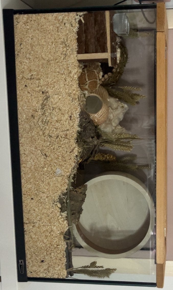 Hamster scaping terrarium, Dieren en Toebehoren, Kooi, Minder dan 75 cm, Zo goed als nieuw, Hamster