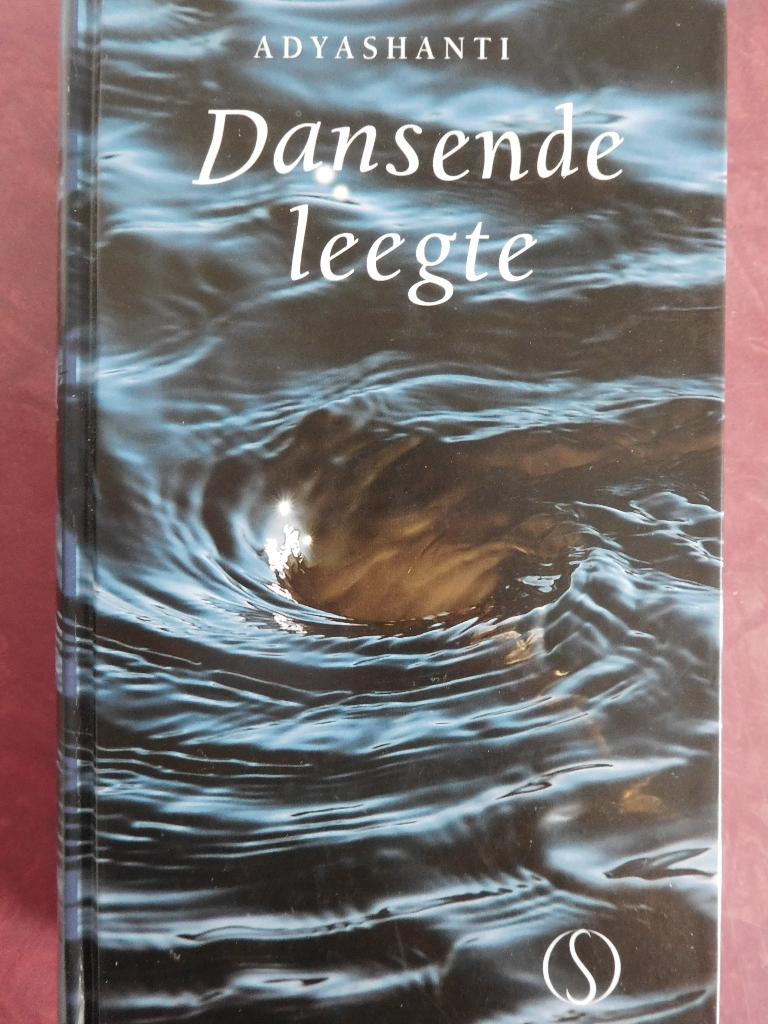 Adyashanti  Dansende leegte, Boeken, Ophalen of Verzenden, Zo goed als nieuw, Overige onderwerpen, Achtergrond en Informatie